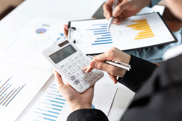 General ledger chart of accounts structure